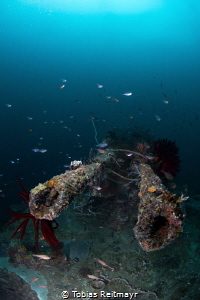 Anti Aircraft guns, Gyoshin Maru, Tioman Island by Tobias Reitmayr 